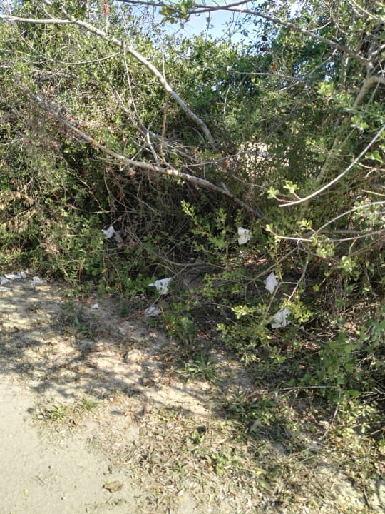 Strand Hotel Chrousso Village