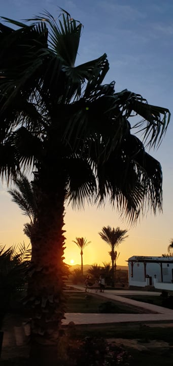 Gartenanlage Three Corners Equinox Beach Resort