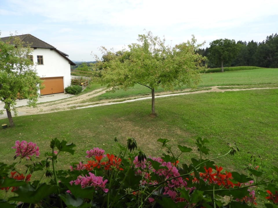 Ausblick Bauernhof Grainmeisterhof