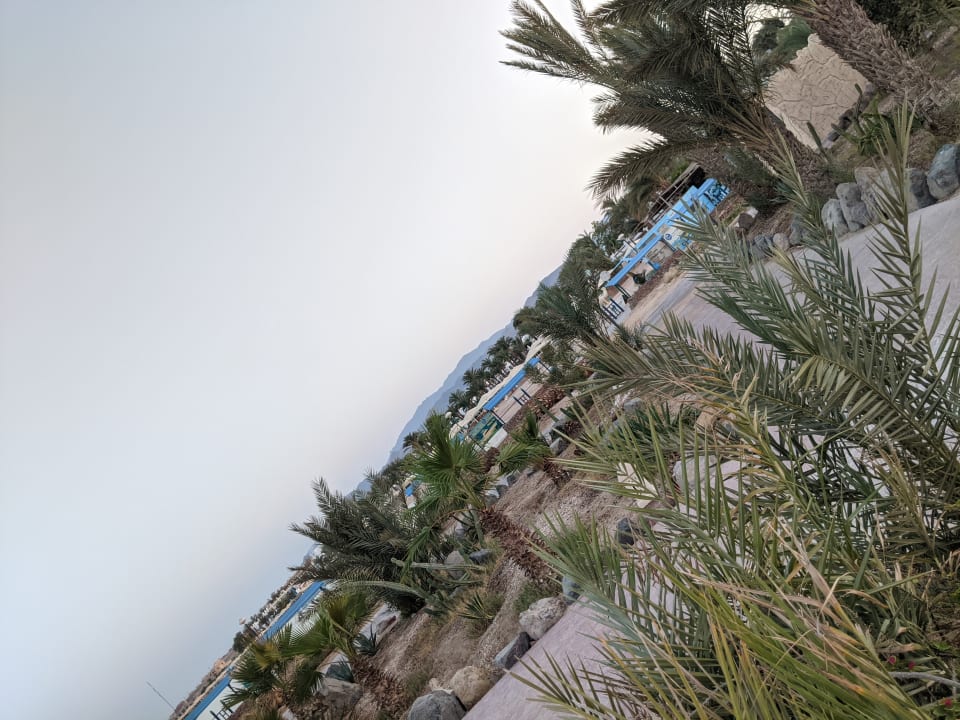 Ausblick Lotus Bay Beach Resort