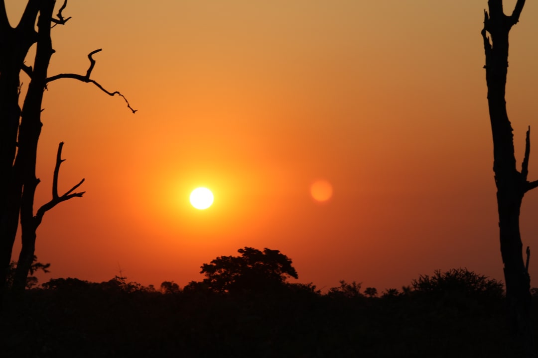 Sport & Freizeit Biyamiti Bushveld Camp