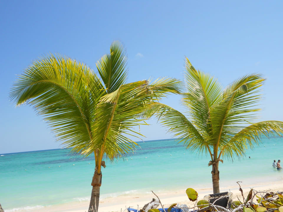 Playa Bavaró Hotel Grand Palladium Palace Resort, Spa & Casino