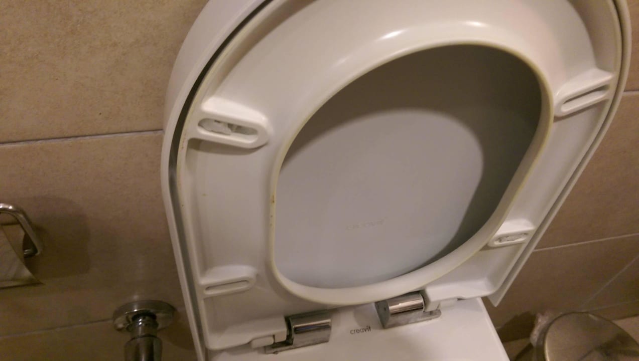 Kein Kommentar einfach nur ekelhaft! Well Palace Side