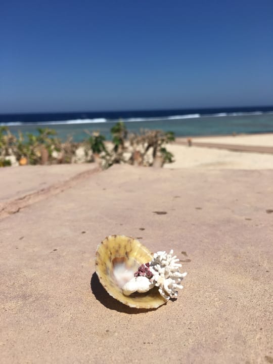 Strand Mövenpick Resort El Quseir