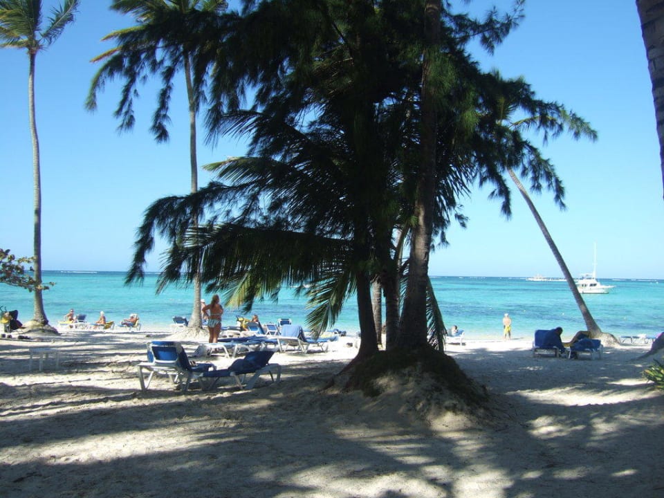 Bootssteg am Strand Barceló Bávaro Palace