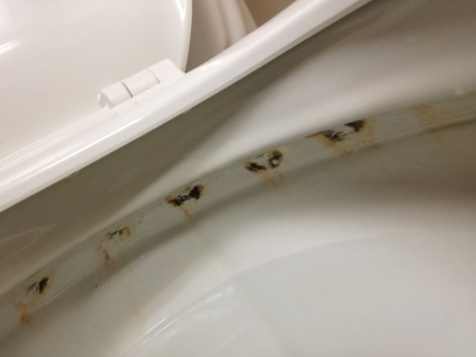 Zimmer Playabachata Hotel