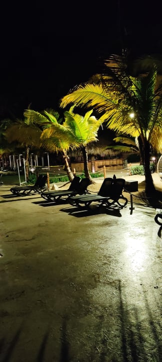 Gartenanlage Hotel Viva Dominicus Beach by Wyndham - All Inclusive Resort