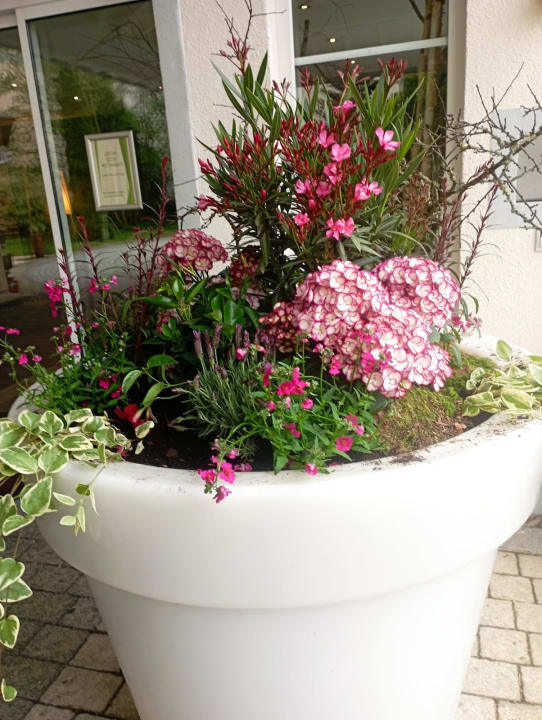 Gartenanlage Best Western Plus Parkhotel Maximilian Ottobeuren