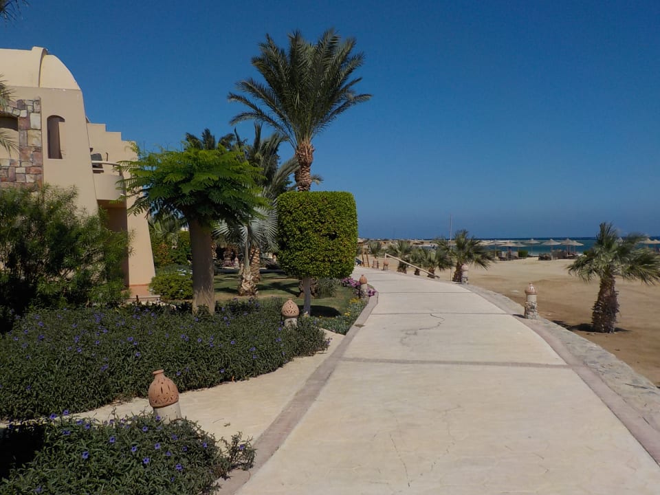 Gartenanlage Shams Alam Beach Resort