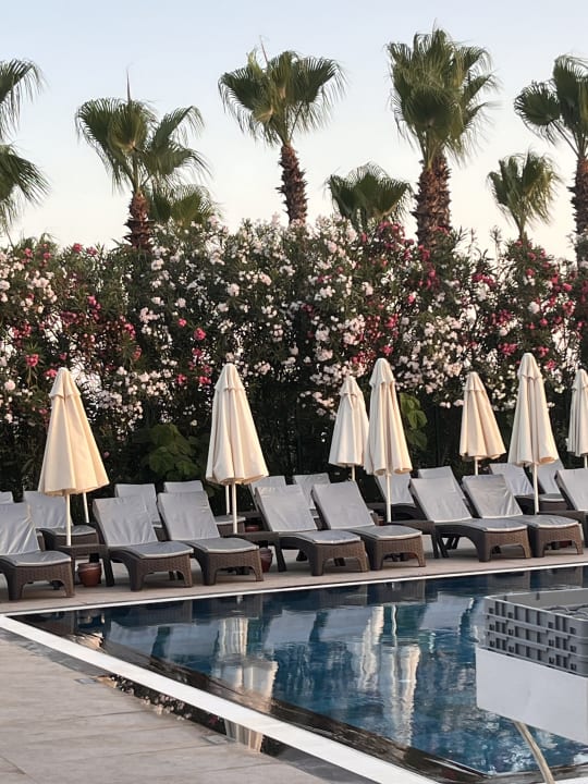 Pool Hotel Delphin Diva