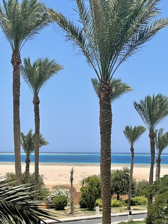 Ausblick Makadi Palace