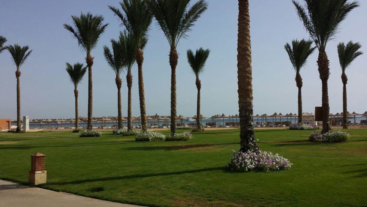 Palmen Stella Beach Resort & Spa Makadi Bay