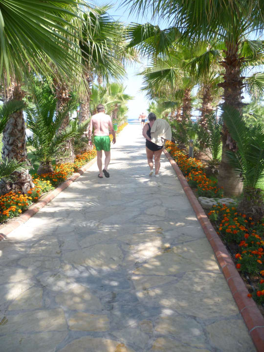Der Weg zum Strand Le Jardin Resort