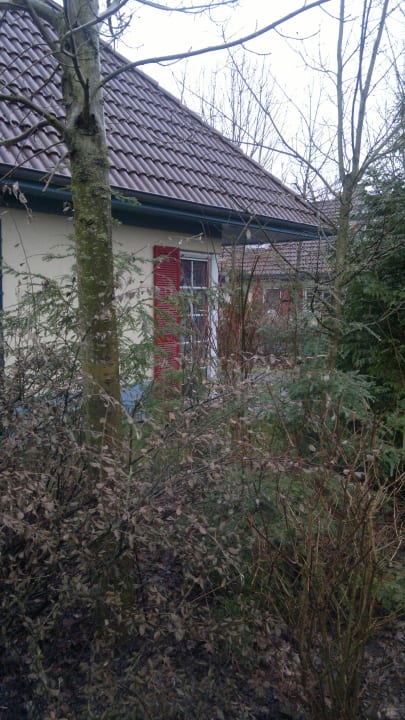 Im Bereich der 6 Personen Comfort Häuser BK 791 Center Parcs Park Nordseeküste