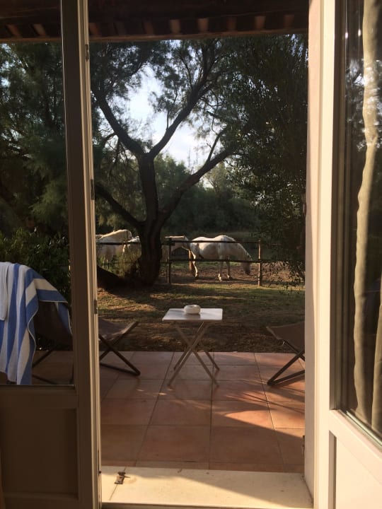 Zimmer mit Blick auf die Pferde Mas De Calabrun