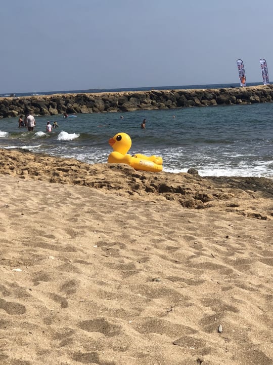 Strand Louis Ledra Beach