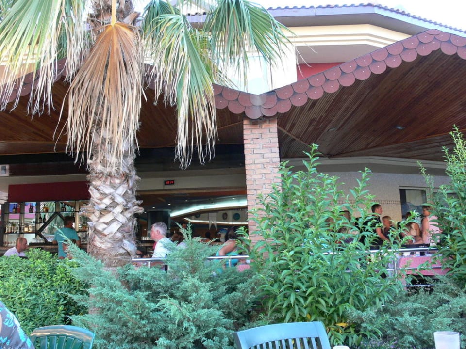 Blick vom Pool auf die Bar Hotel Orfeus Park