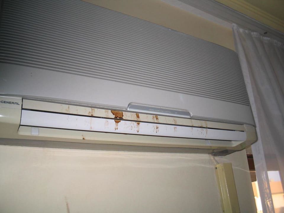 Zimmer 1195 Kamelya Aishen Club