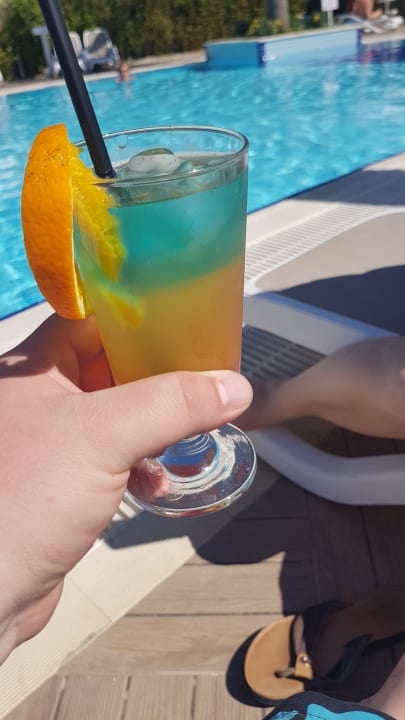 Gastro Seashell Resort