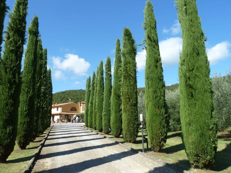Zufahrt Hotel Casolare le Terre Rosse