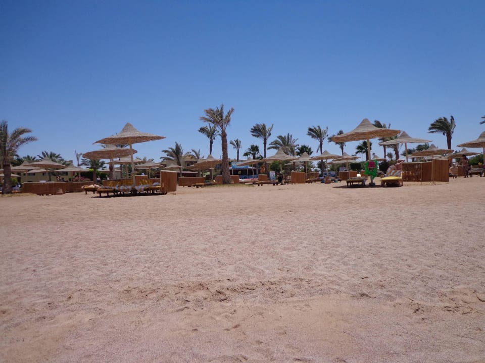 Genügend Liegen mit Schirmen Desert Rose