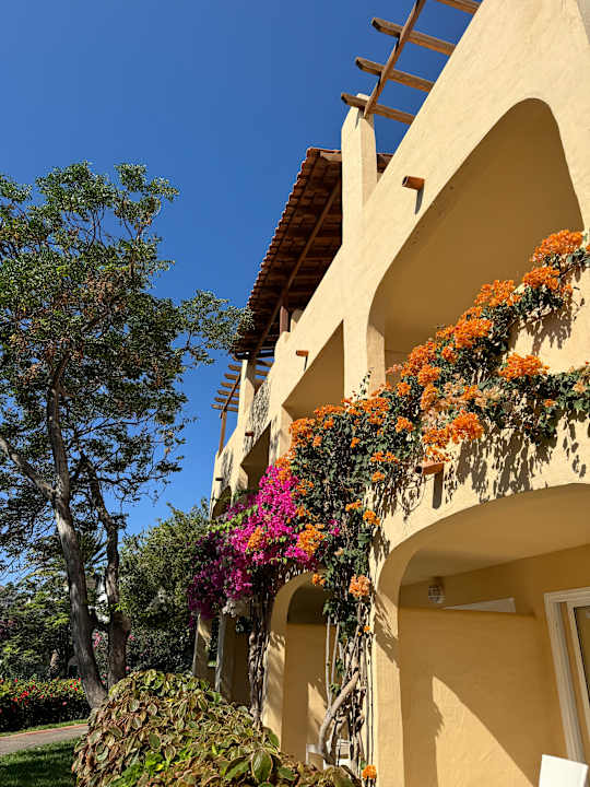 Außenansicht ROBINSON ESQUINZO PLAYA