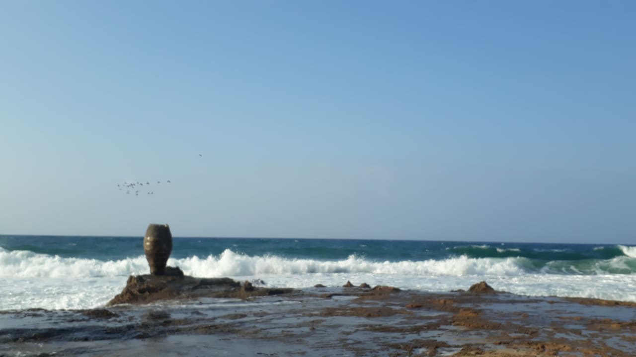 Strand allsun Hotel Carolina Mare