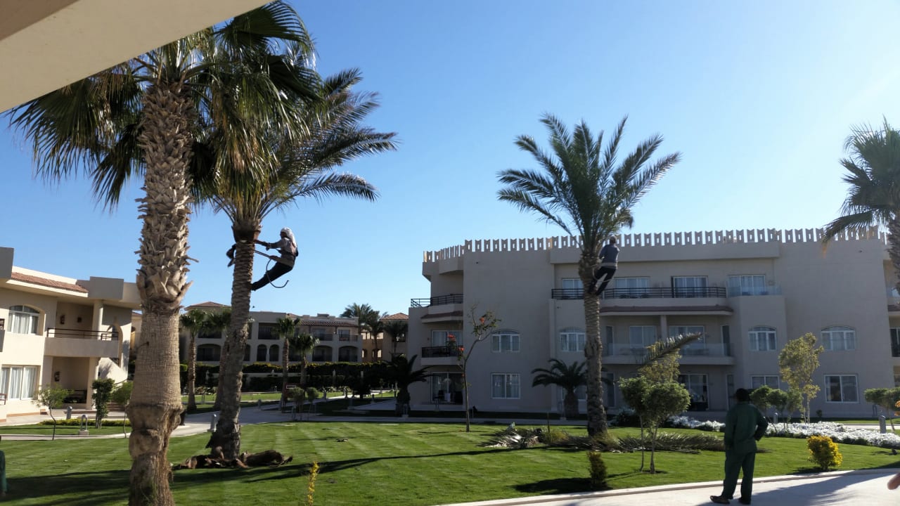 Gartenanlage Pickalbatros Royal Moderna Resort-Sharm El Sheikh