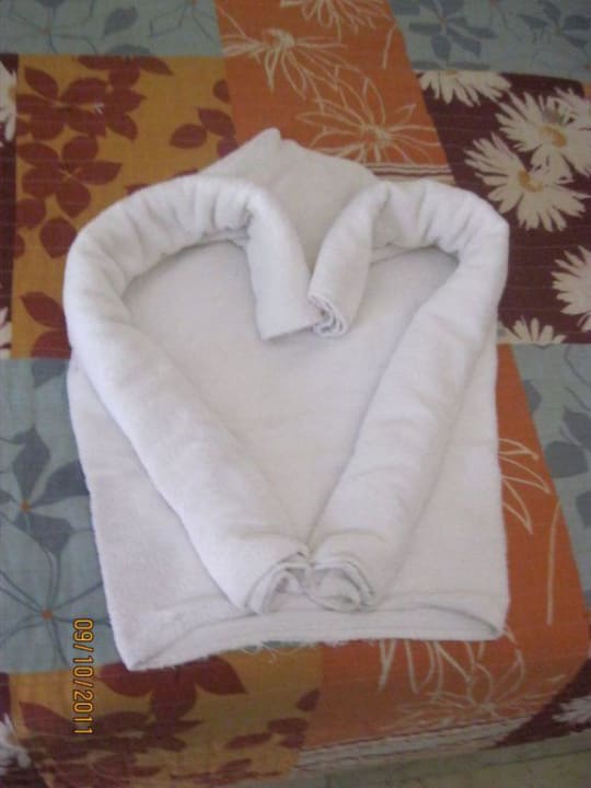 Von Putzfrau gemacht Starfish Cuatro Palmas