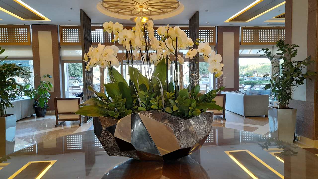 Lobby Xanadu Resort Hotel