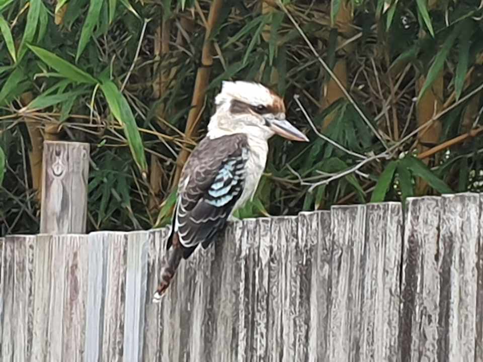 Sonstiges The Shores Holiday Apartments