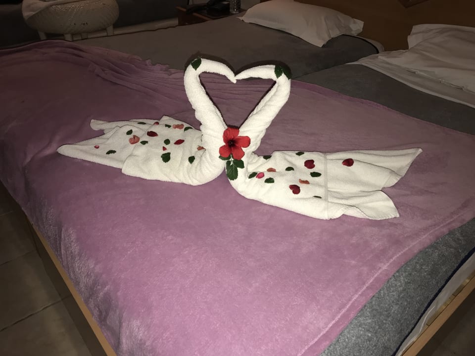 Zimmer Hotel Djerba Resort