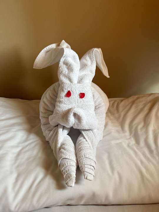 Zimmer Jaz Makadi Oasis Resort