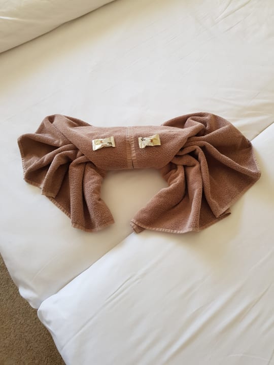 Zimmer GRIFID Vistamar