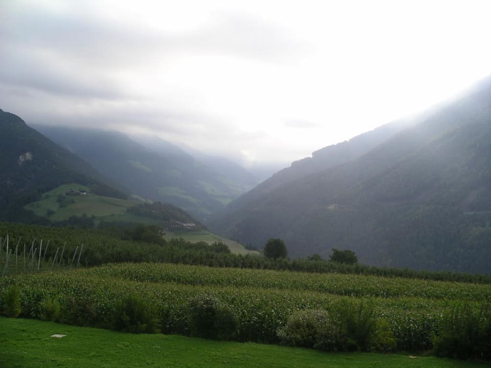 Herbstlicher Ausblick aus einem Apfelzimmer Das Mühlwald - Quality Time Family Resort