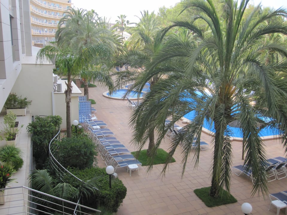 Blick auf den Pool Hotel Cosmopolitan