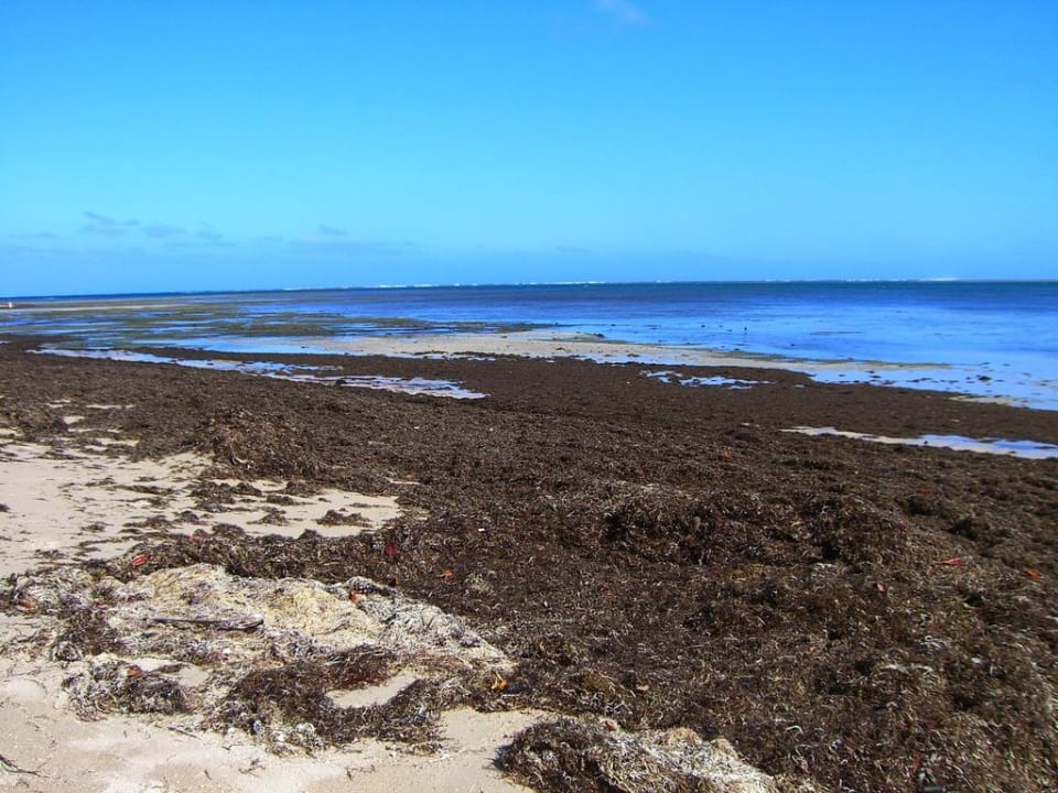 Alghe Robinson Crusoe Island Resort