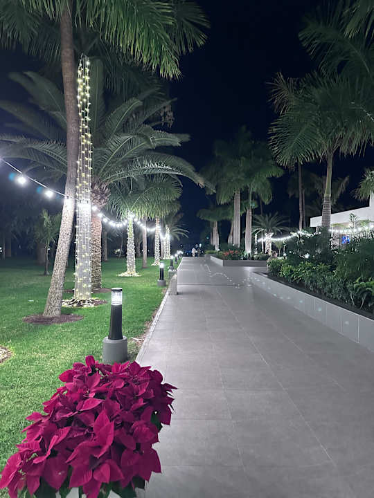 Gartenanlage Hotel Riu Gran Canaria