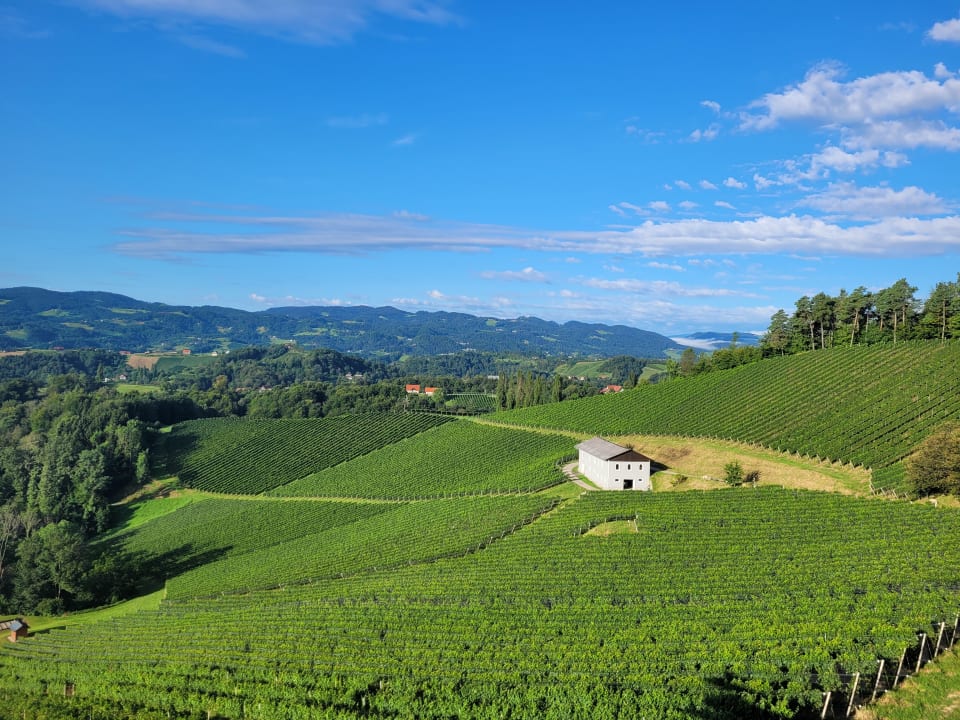 Ausblick Gasthof Mahorko