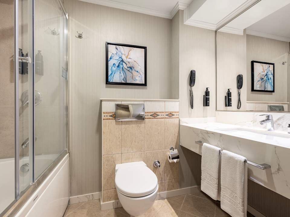 Zimmer Elite World Comfy Istanbul Taksim Hotel