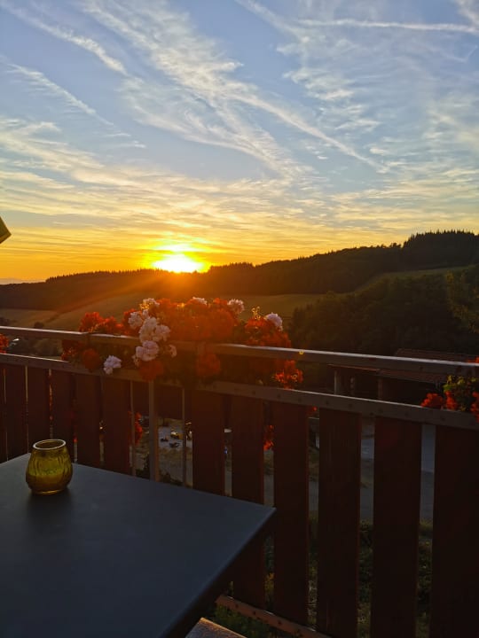 Ausblick Ferienwohnungen Waldscheerhof