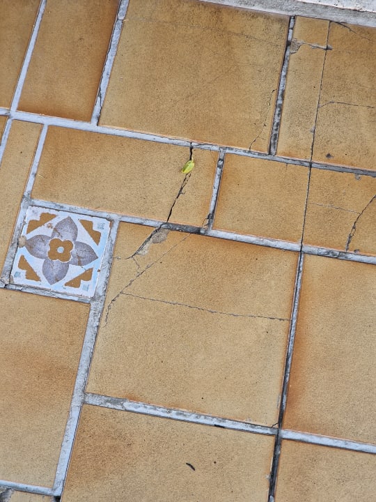 Sonstiges VIVA Blue & Spa