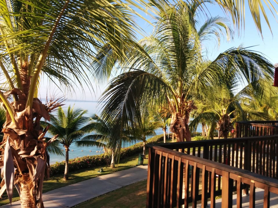 Zimmer Decameron Baru