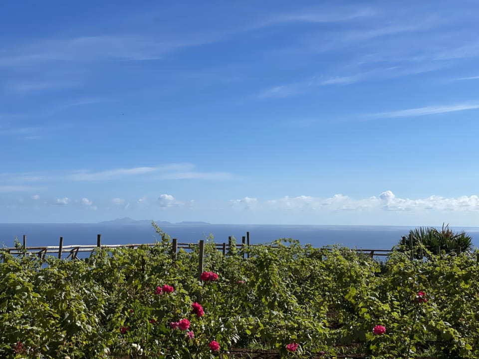 Gartenanlage Hotel Quinta do Furao
