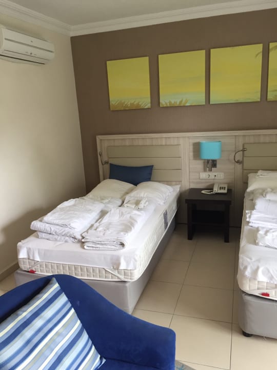 Zimmer Papillon Belvil