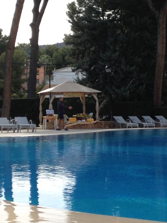 Pool BQ Belvedere Hotel