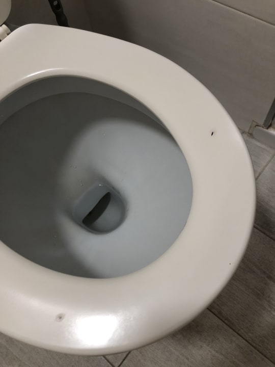 Zimmer Alcudia Garden Aparthotel