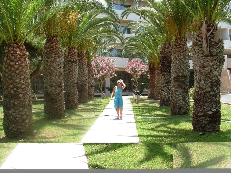 Połaczenie hotelu z plaża Ialyssos Bay