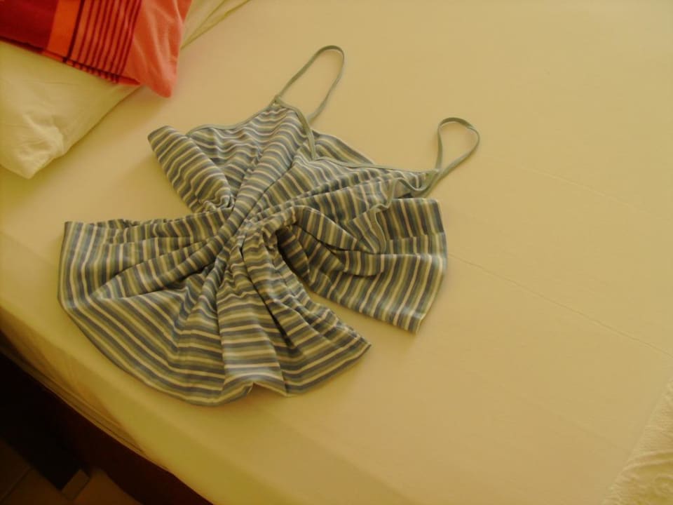 Zimmerreinigung Hotel Orfeus Park