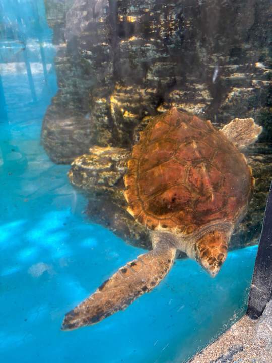 Sport & Freizeit BG Hotel Caballero